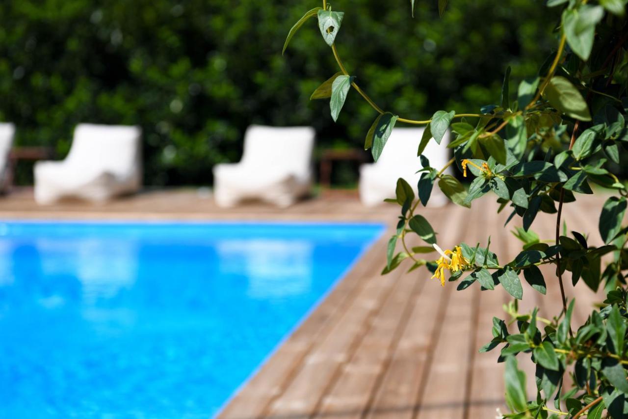 Serenity Luxury Villa, Skiathos Agia Paraskevi  Exterior photo